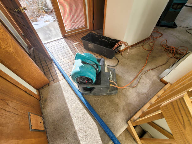 Sewage cleanup and water damage restoration in Tioga, TX