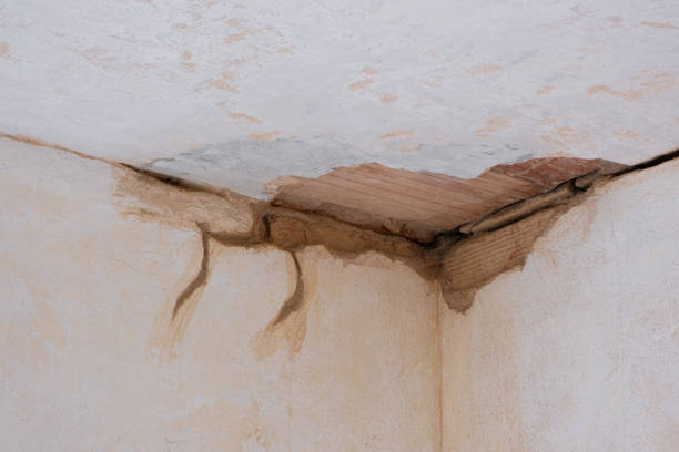 Best Flood damage cleanup  in Tioga, TX