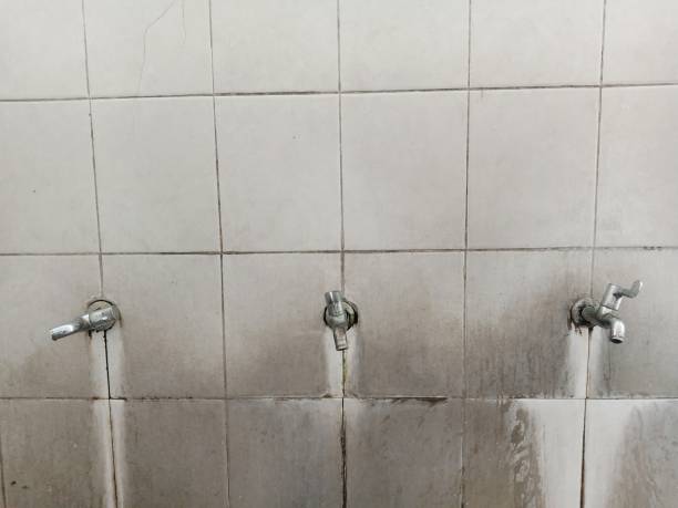 Best Local water damage restoration  in Tioga, TX