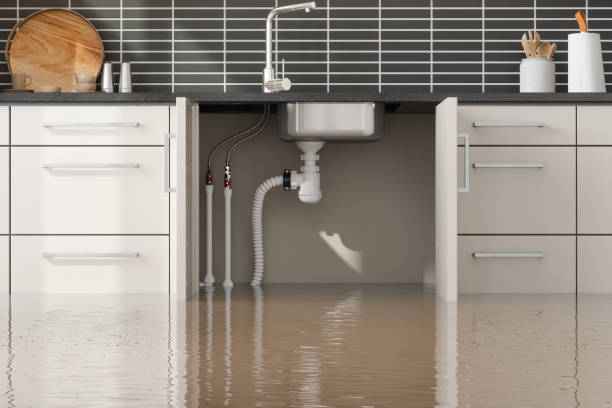 Best Water damage restoration near me  in Tioga, TX