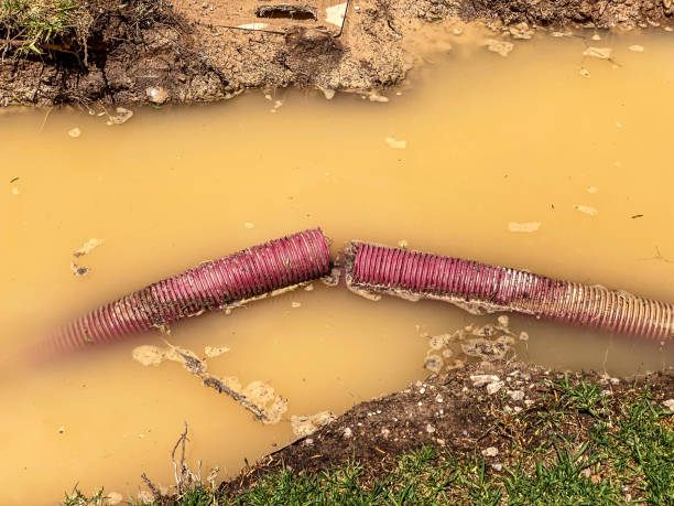 Best Professional water damage repair  in Tioga, TX